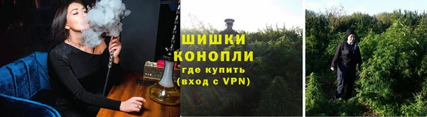 PSILOCYBIN Суровикино