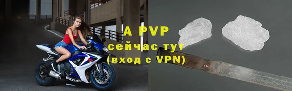 крисы Майский