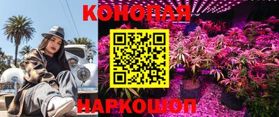 спиды Кунгур