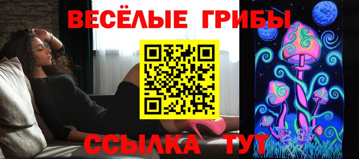 Псилоцибиновые грибы GOLDEN TEACHER  Вход с VPN  Шебекино 