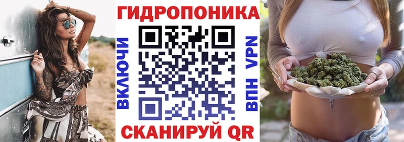 Бошки марихуана сатива Шебекино